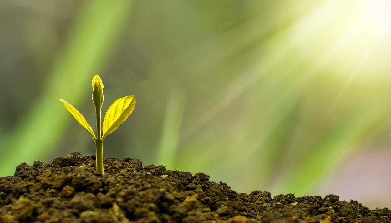 micro investing