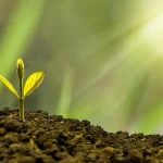 micro investing