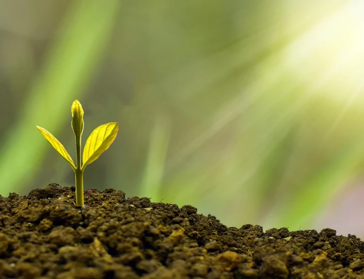 micro investing