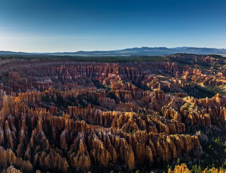 Esports Competitions in the USA